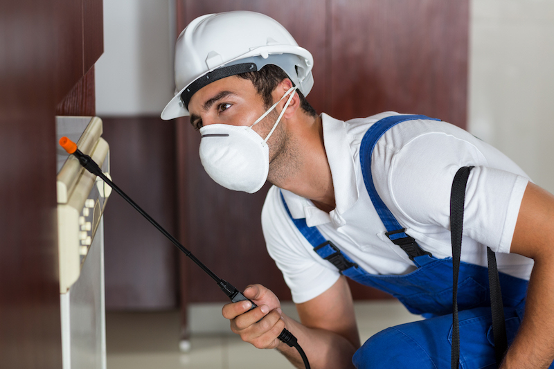 Hiring a Pest Controller - Home & Outdoor Living | Health & Fitness Blog